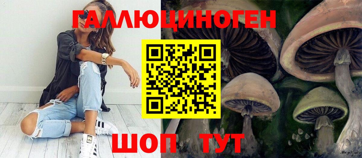 Псилоцибиновые грибы прущие грибы  Вход с VPN  Якутск 